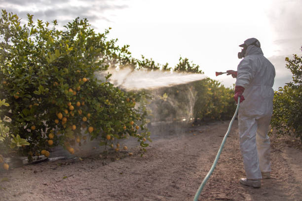 Pest Control Cost in St Hedwig, TX