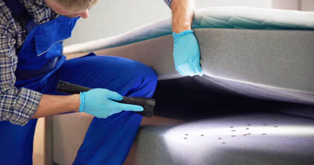 Best Best Pest Control Companies  in St Hedwig, TX
