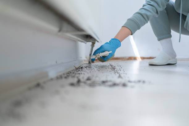 Pest Control for Restaurants in St Hedwig, TX